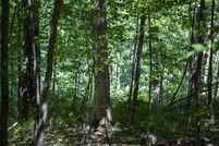 Property for sale in Waushara County, Wisconsin
