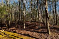 Property for sale in Gilmer County, Georgia