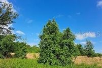 Property for sale in Lake County, Florida