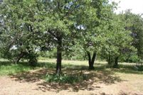 Property for sale in Palo Pinto County, Texas