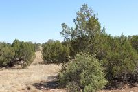 Undeveloped Land for sale in Navajo County, Arizona