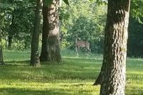 Property for sale in Morgan County, Missouri