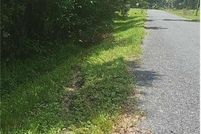 Property for sale in Osceola County, Florida