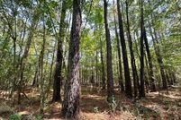 Undeveloped Land for sale in Smith County, Mississippi