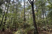 Property for sale in Tuscaloosa County, Alabama