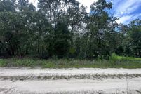 Undeveloped Land for sale in Levy County, Florida
