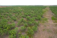 Property for sale in Jones County, Texas