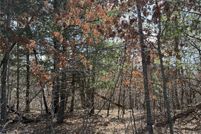 Undeveloped Land for sale in Chippewa County, Wisconsin