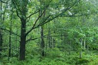 Property for sale in Price County, Wisconsin