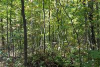 Undeveloped Land for sale in Bayfield County, Wisconsin