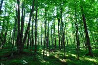 Property for sale in Price County, Wisconsin