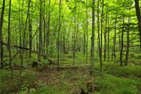Undeveloped Land for sale in Bayfield County, Wisconsin