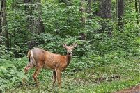 Undeveloped Land for sale in Sawyer County, Wisconsin