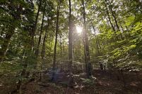 Property for sale in Benzie County, Michigan