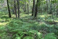 Property for sale in Sawyer County, Wisconsin