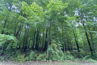Undeveloped Land for sale in Saginaw County, Michigan