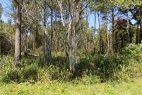 Property for sale in Macon County, Alabama