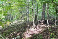 Undeveloped Land for sale in Ulster County, New York