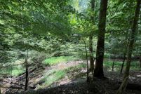 Property for sale in Gilmer County, Georgia