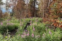 Property for sale in Yukon Koyukuk Borough, Alaska