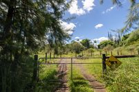 Undeveloped Land for sale in Hawaii County, Hawaii