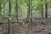 Property for sale in Cocke County, Tennessee