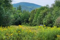 Property for sale in Coos County, New Hampshire