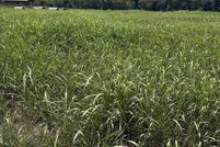 Lakefront Property for sale in Izard County, Arkansas