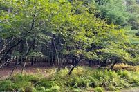 Property for sale in Pike County, Pennsylvania