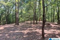 Property for sale in Saint Clair County, Alabama