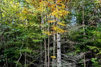 Lakefront Property for sale in Kalkaska County, Michigan