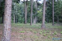 Undeveloped Land for sale in Cherokee County, Alabama