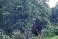 Undeveloped Land for sale in Clay County, North Carolina