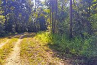 Undeveloped Land for sale in Gulf County, Florida