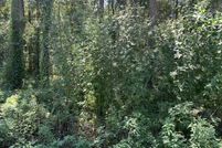 Property for sale in Leon County, Florida