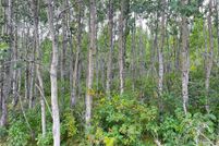 Undeveloped Land for sale in Douglas County, Wisconsin