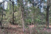 Undeveloped Land for sale in Putnam County, Florida
