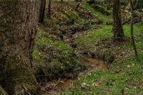 Property for sale in Dawson County, Georgia