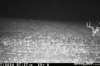 Property for sale in Eau Claire County, Wisconsin