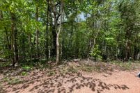Property for sale in Lee County, Alabama