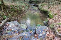 Undeveloped Land for sale in Hardin County, Tennessee