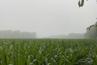 Undeveloped Land for sale in Johnson County, Indiana