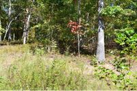 Undeveloped Land for sale in White County, Georgia