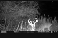 Undeveloped Land for sale in Blount County, Alabama