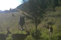 Property for sale in Howard County, Arkansas