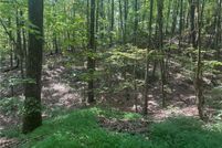 Property for sale in Pickens County, Georgia
