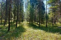 Undeveloped Land for sale in Sanders County, Montana