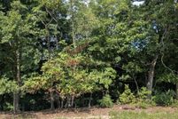 Undeveloped Land for sale in Carroll County, Arkansas