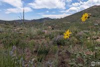 Undeveloped Land for sale in Larimer County, Colorado