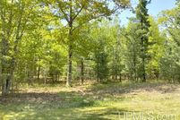 Undeveloped Land for sale in Delta County, Michigan